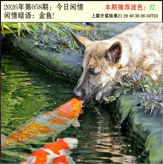 058期今日闲情2[图]