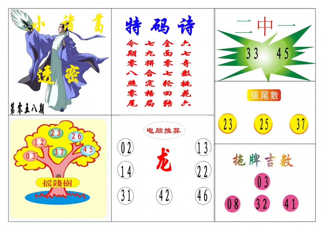 058期小诸葛[图]