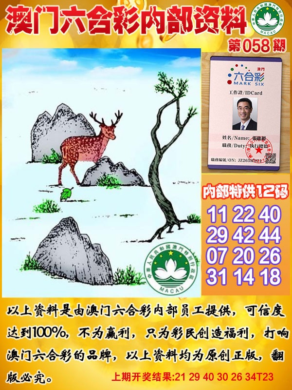 058期六合内部资料[图]