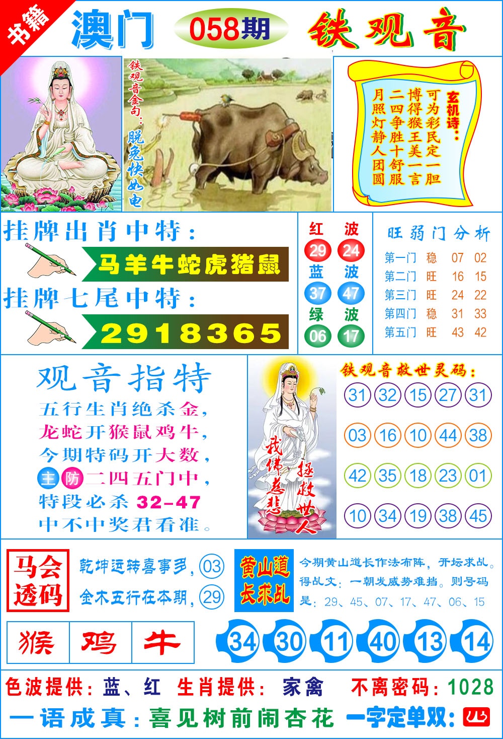 058期澳门铁观音[图]