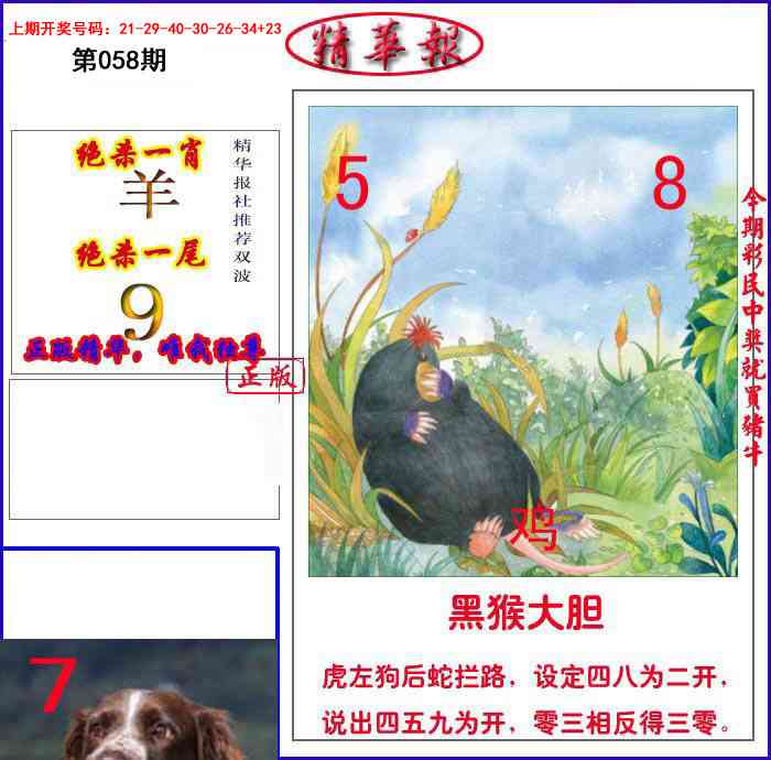 058期新精华报报[图]