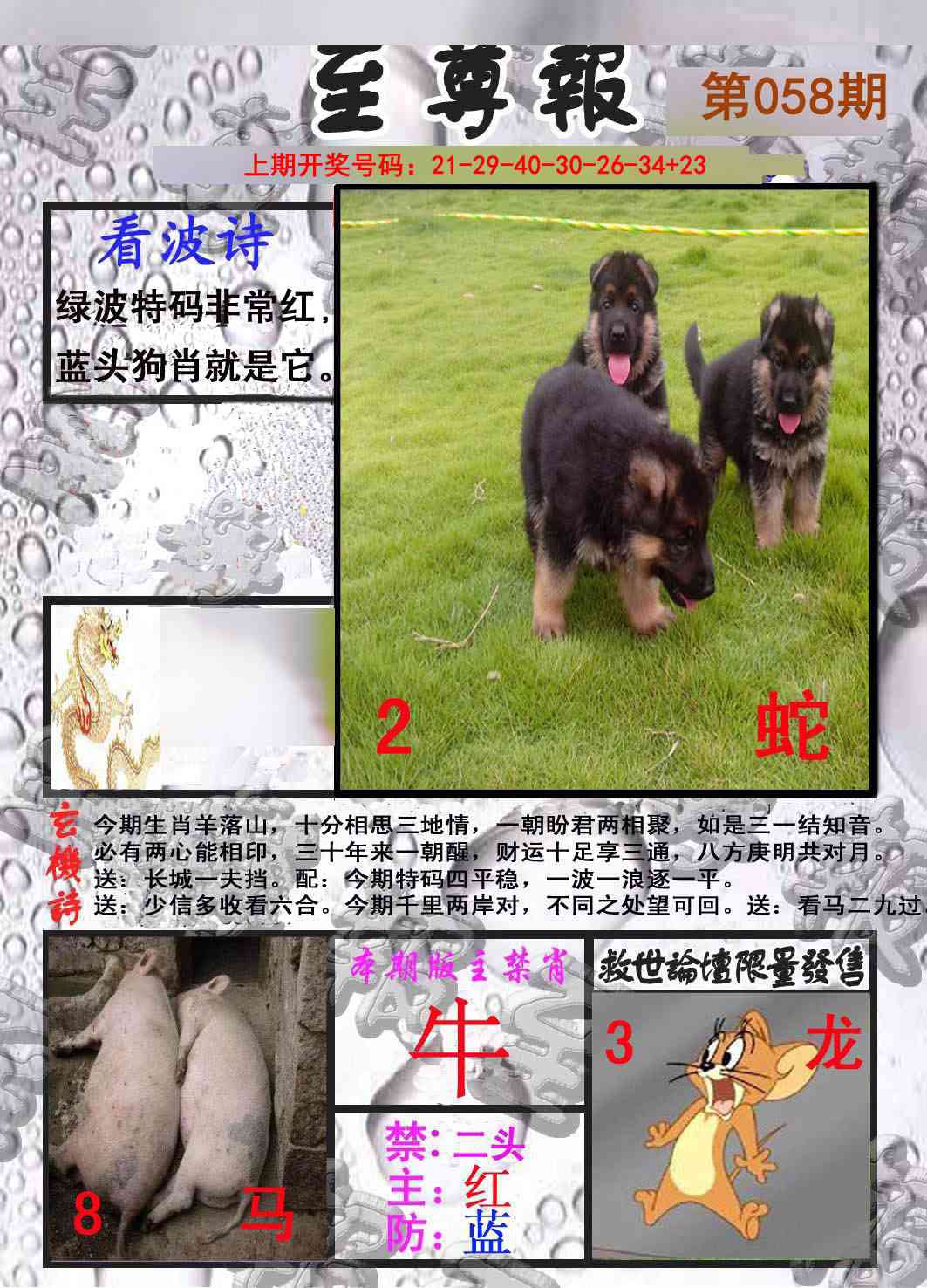 058期至尊报[图]