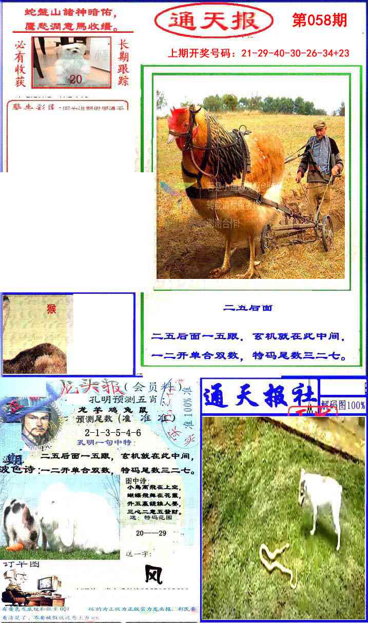 058期实力通天报[图]