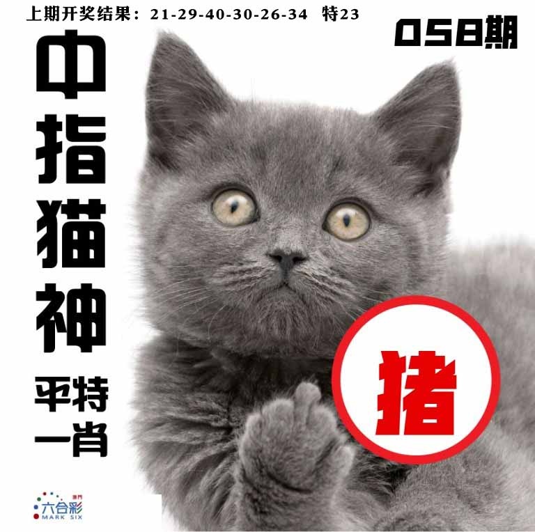 058期中指猫神[图]