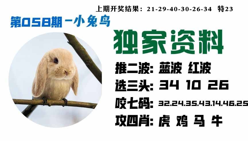 058期小兔鸟[图]